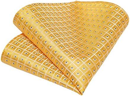 ابریشم کراوات مردانه DiBanGu Image