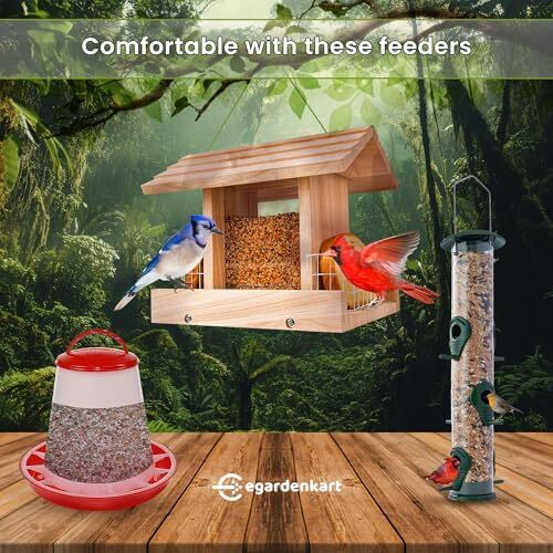 مخلوط غذای پرندگان Egardenkart® برای کبوتر - ۱ کیلوگرم، غذای کبوتر | غذای پرنده ممتاز برای کبوتر خانگی | مخلوط دانه‌های پرنده با تغذیه کامل برای کبوتر، کبوتر وحشی و پرندگان بزرگ وحشی (۱ کیلوگرم، کبوتر) Image