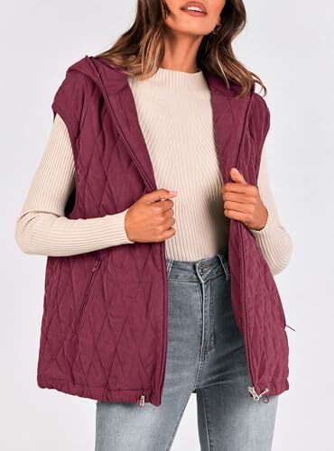 جلیقه لحاف دار پاییزی زنانه PRETTYGARDEN لباس بیرونی کت زمستانی ژاکت بدون آستین سرپوش دار زیپ دار Image