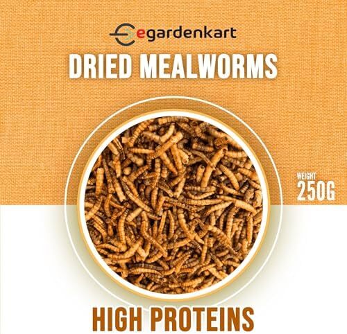 کرم‌های خشک شده Egardenkart، خوراکی‌های پروتئینی بالا برای پرندگان، مرغ‌ها، لاک‌پشت‌ها، ماهی‌ها، همسترها و جوجه‌تیغی‌ها، خوراک طبیعی حیوانات (250 گرم)