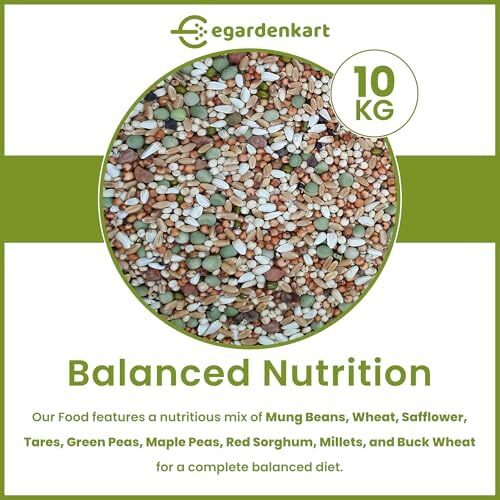 مخلوط غذای پرندگان ممتاز Egardenkart® برای کبوتر خانگی و پرندگان وحشی بزرگ (۱۰ کیلوگرم، اقتصادی) Image