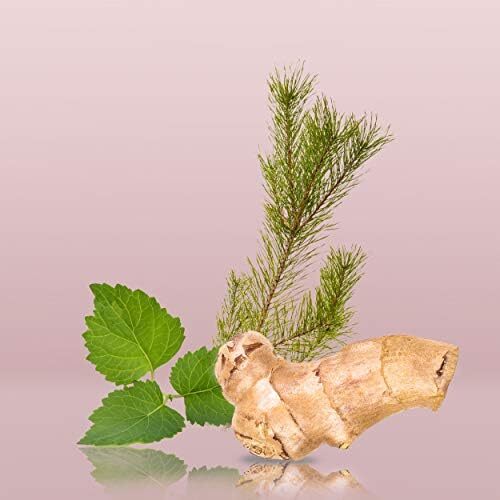 عطر مردانه Calvin Klein Euphoria Eau De Toilette 50ML Image