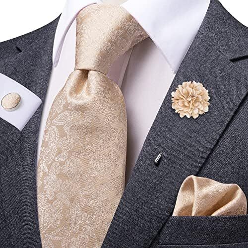 ست کراوات و ست چهارگوش جیبی مردانه Dubulle مردانه کراوات ابریشمی Paisely Image