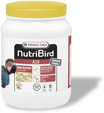 حیوانات خانگی