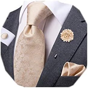 ست کراوات و ست چهارگوش جیبی مردانه Dubulle مردانه کراوات ابریشمی Paisely Image